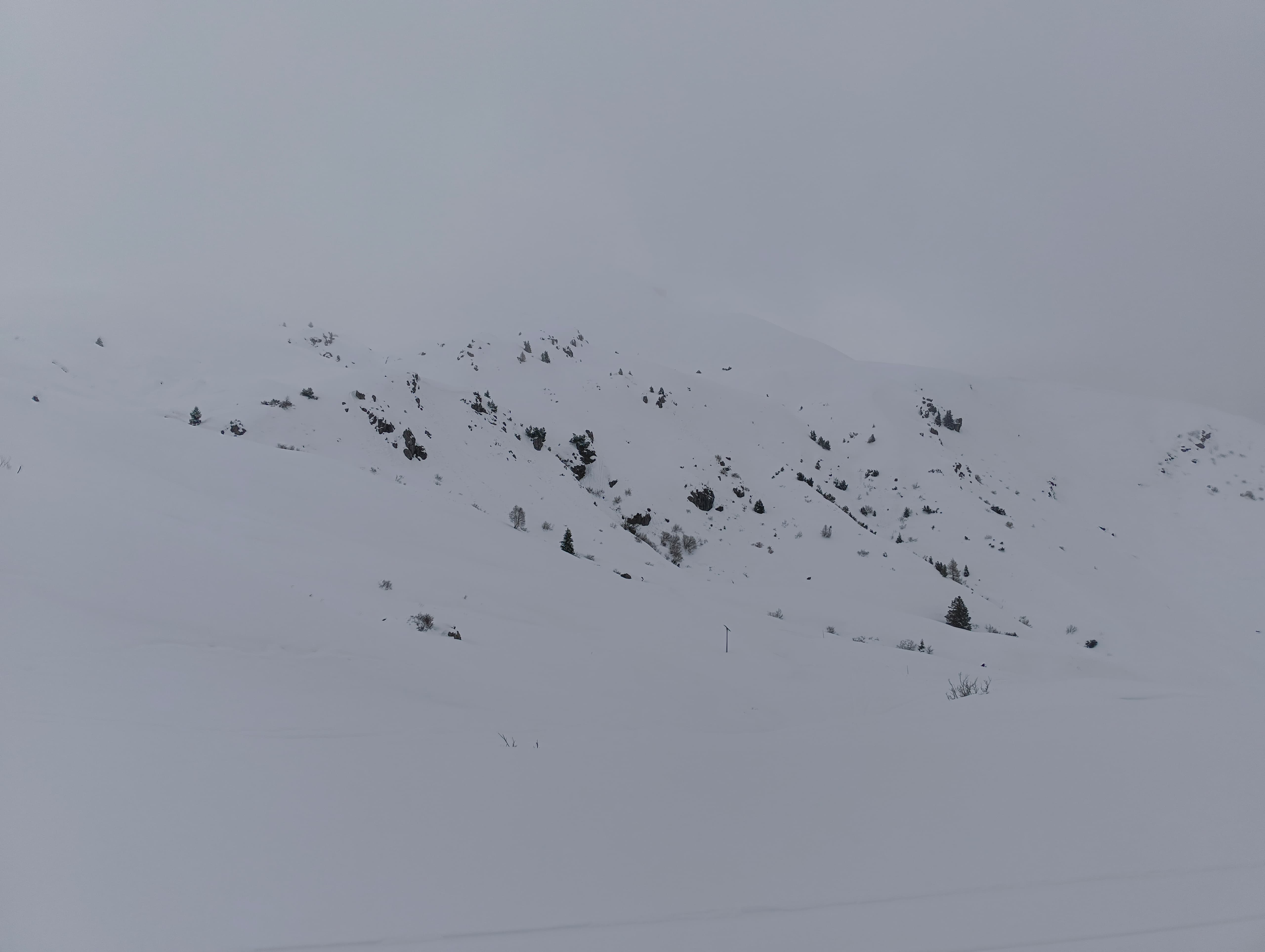 Foto n° 11 del trekking Monte Sodadura